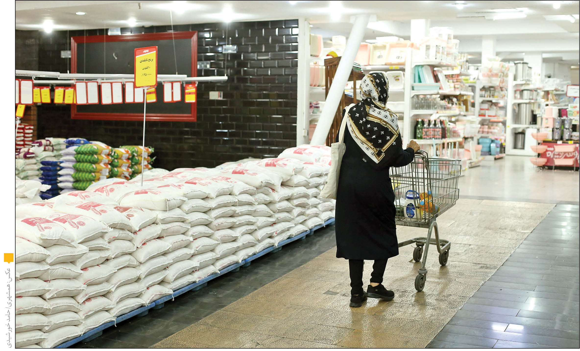 خبری که روی سفره مردم تاثیر دارد / قیمت برنج پایین می‌آید؟ 2